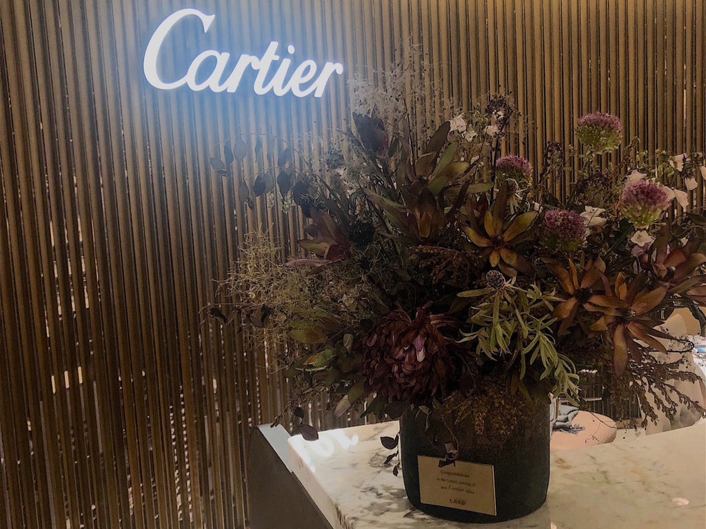 Cartier's Office - Reception & VIP Room